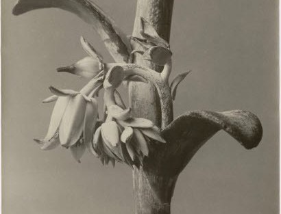 In ehrendem Gedenken an Jürgen Wilde 